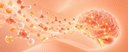 Dopamine Supplements for Focus & Drive: What the Science Actually Says