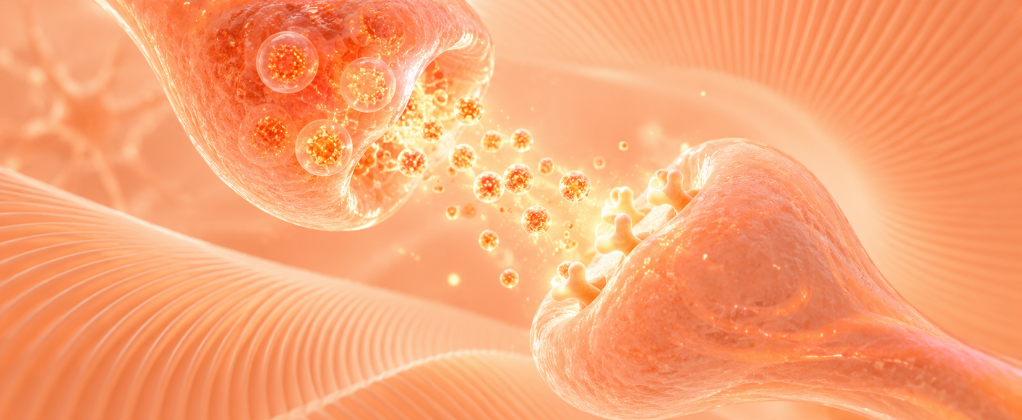 The Amino Acid Building Blocks Your Brain Uses Every Day