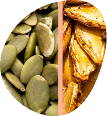 l-tyrosine in pumpkin seeds and properties as an ADHD supplement 